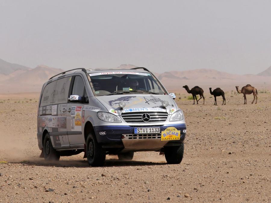  Mercedes-Benz Viano 4Matic Rally Car 2003 года  (фото 7 из 7)